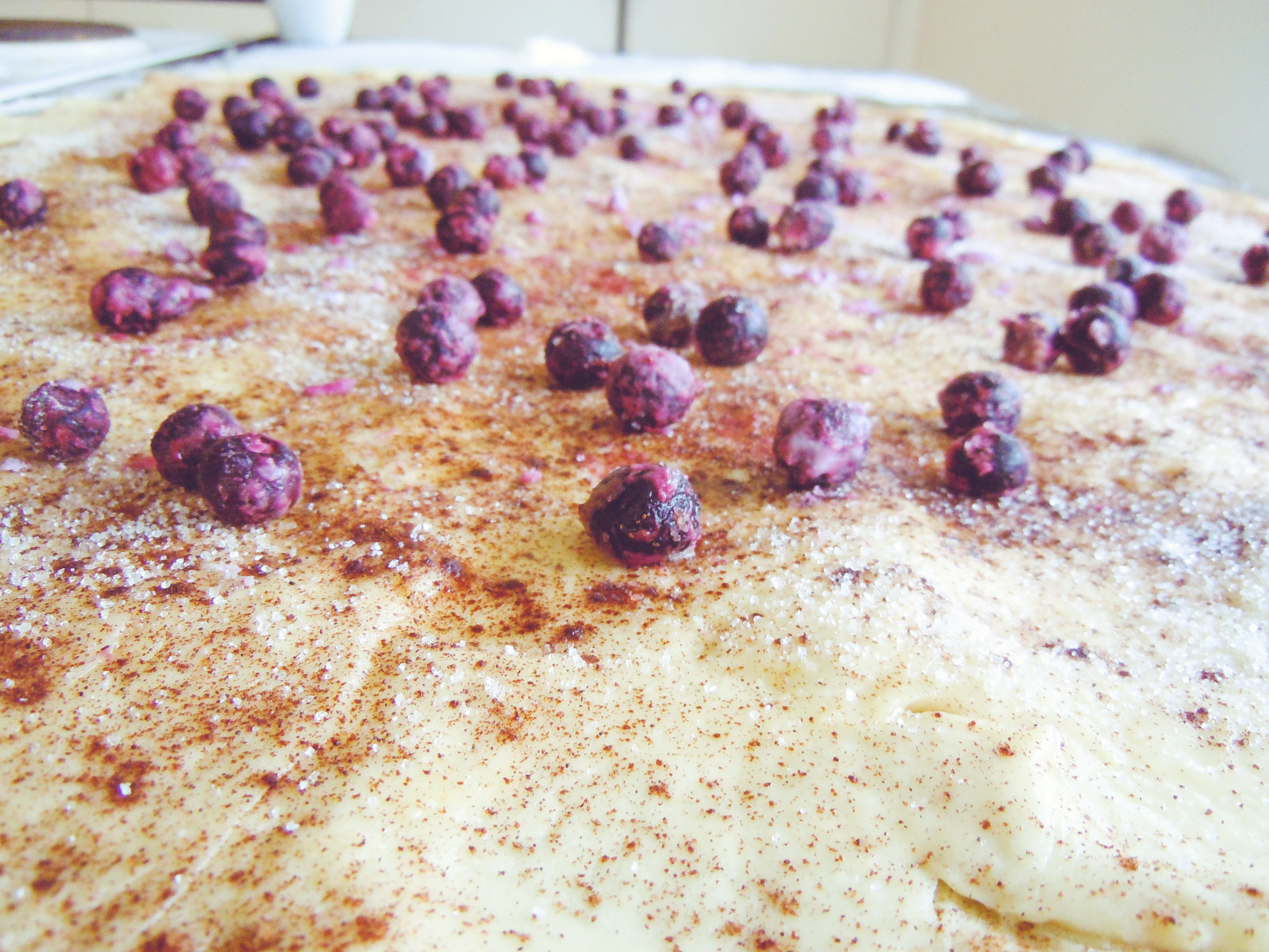 Blueberry and cinnamon rolls (8)