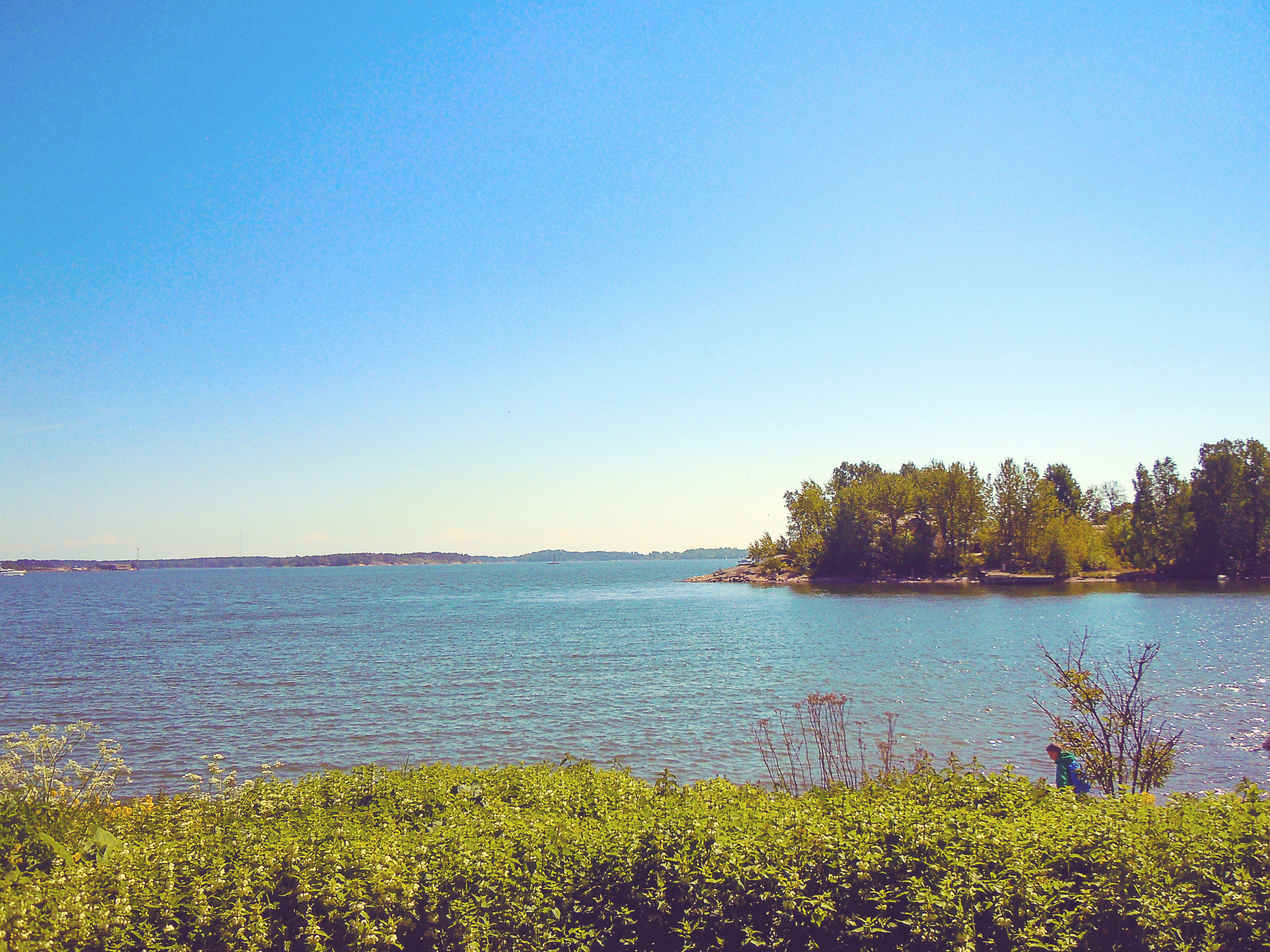 Helsinki Zoo (2).jpg