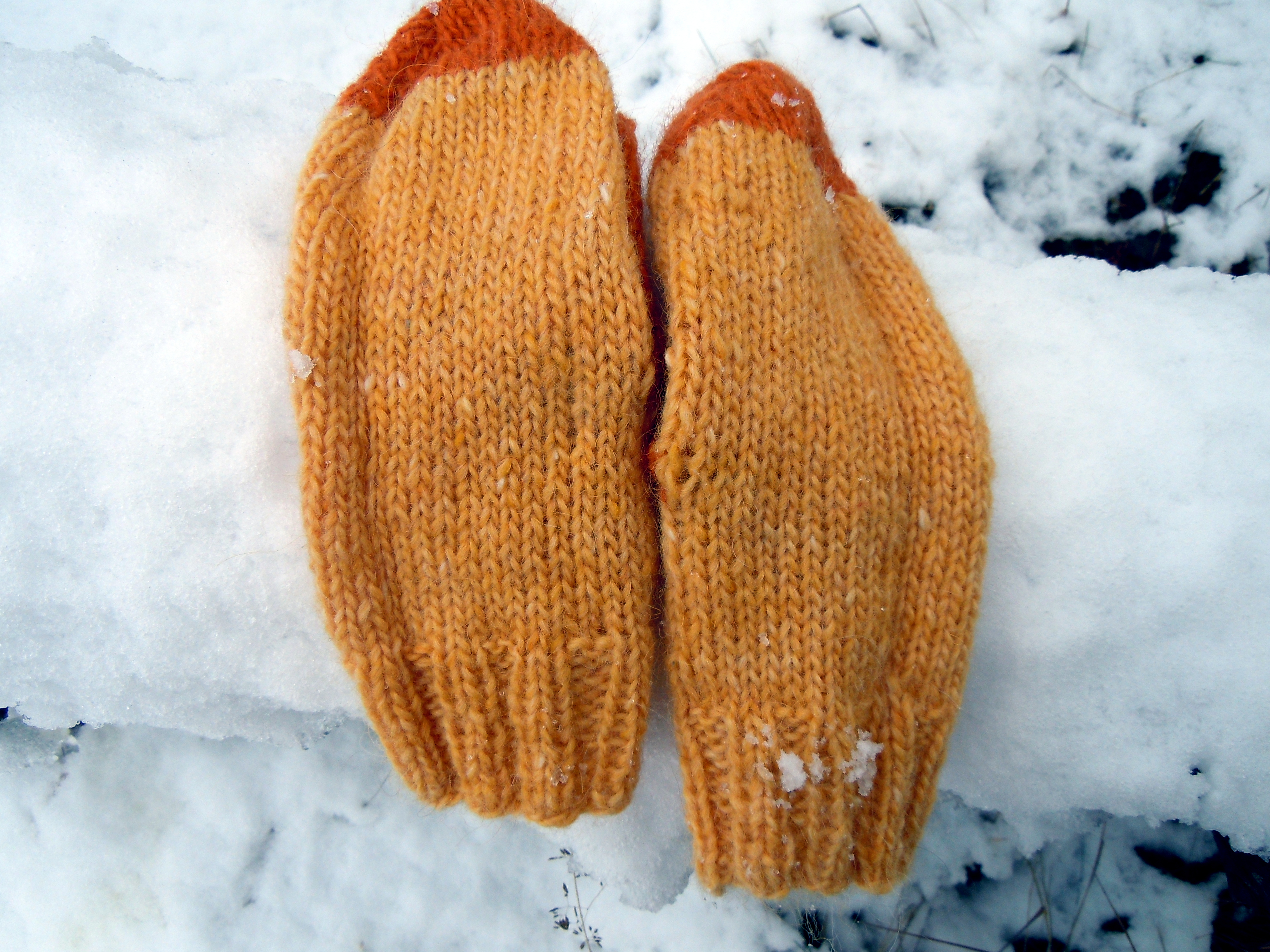 Lopi Mittens (3)