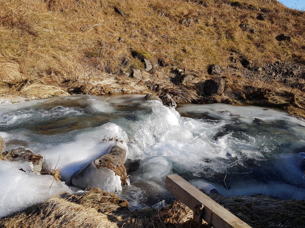 Master’s Thesis: February