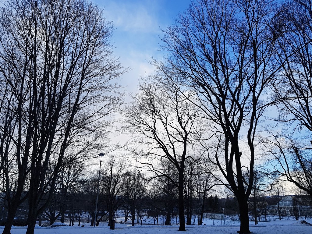 Book Review: The Awakening by Kate Chopin