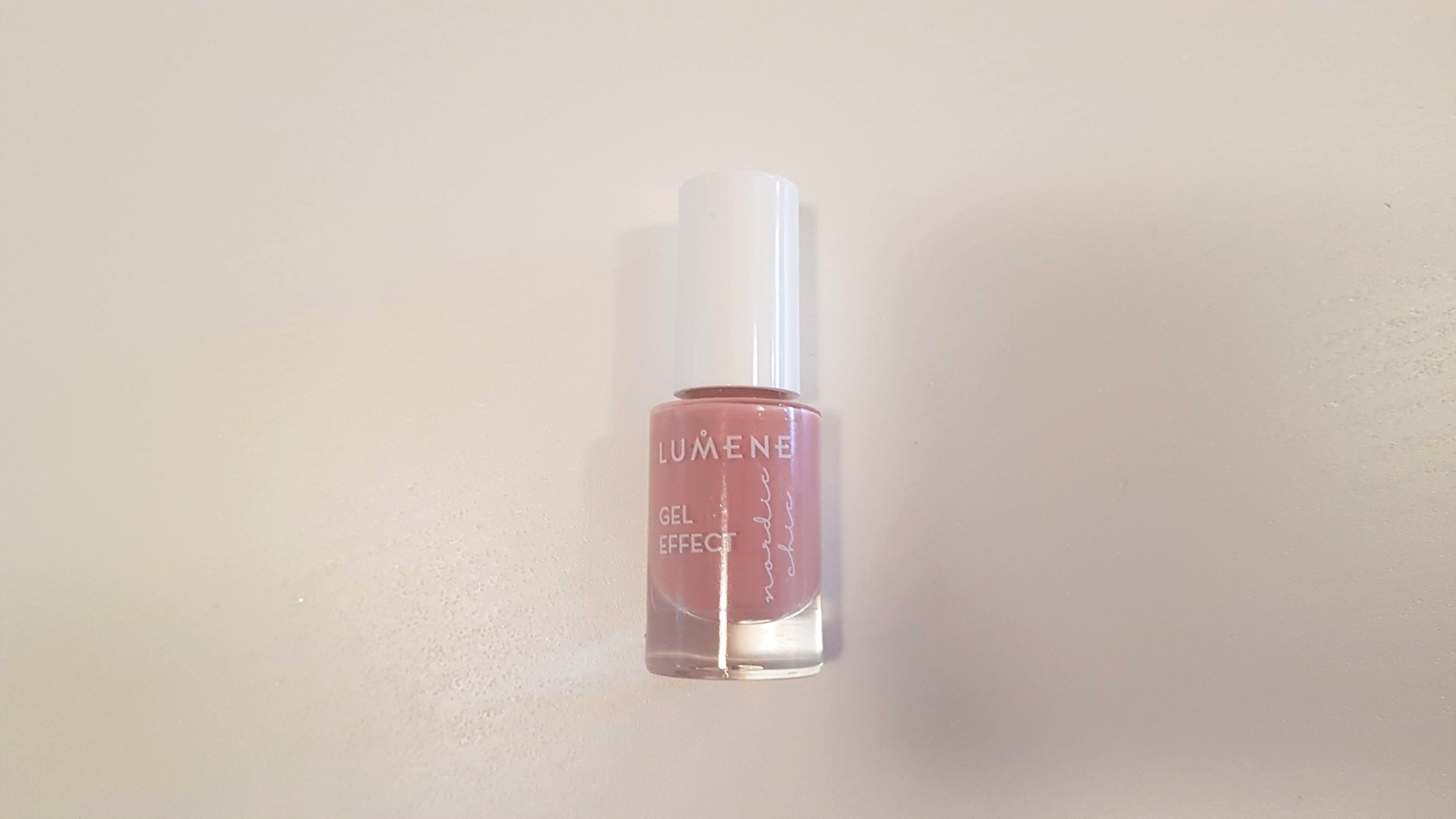 Summer Inventory (5)