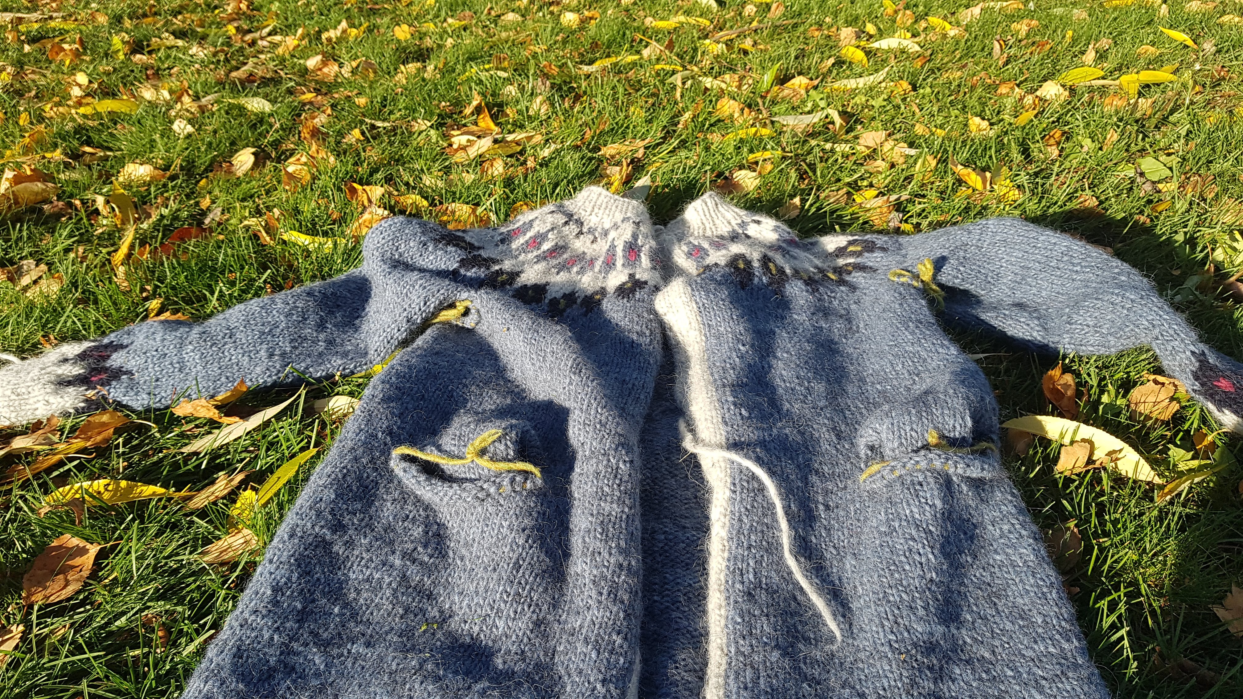 Knitting lopapeysa Astrid (4)