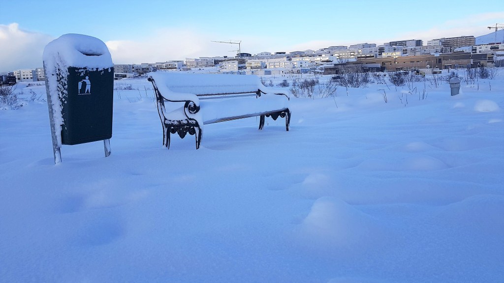 Snow Days in&nbsp;Reykjavik