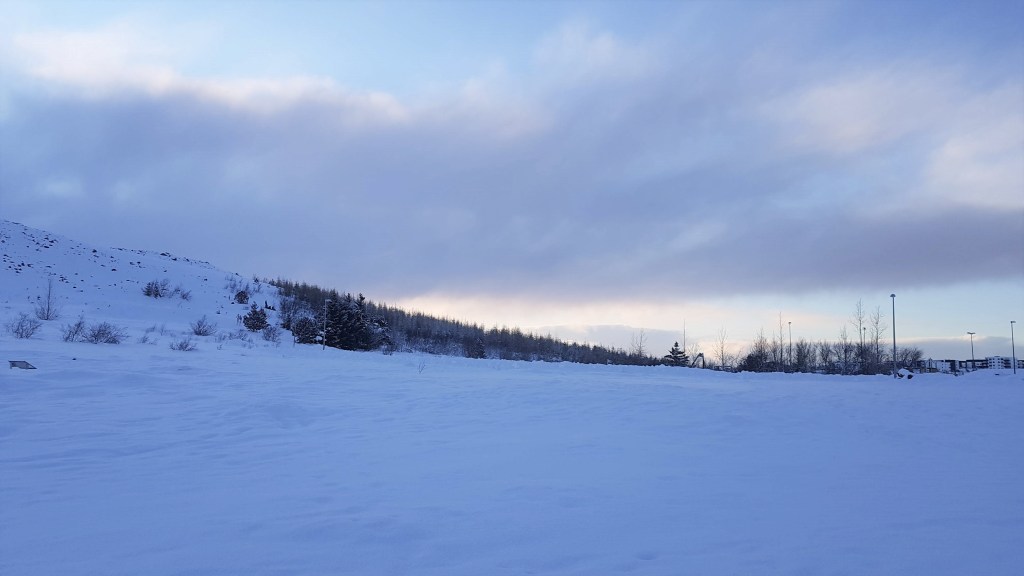 Month in Review:&nbsp;January