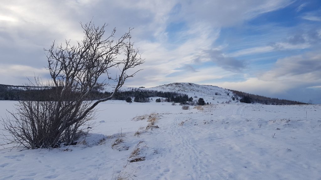 Month in Review:&nbsp;February