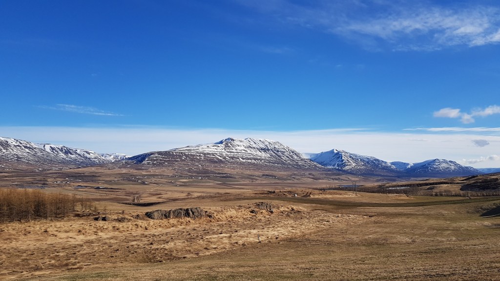 19 in 2019: Three Month&nbsp;Update