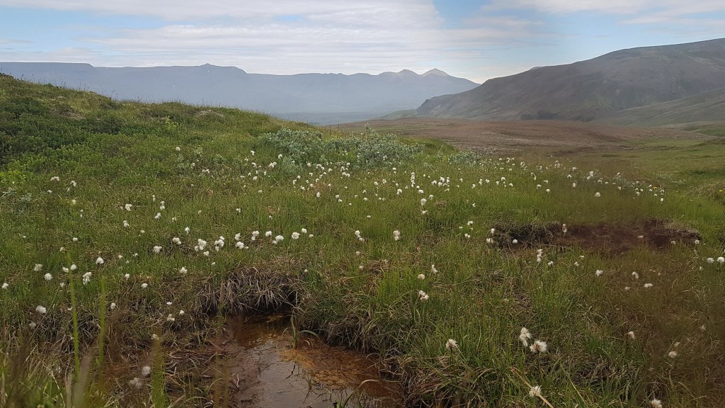 Book Review: I Have Some Questions For You by Rebecca&nbsp;Makkai