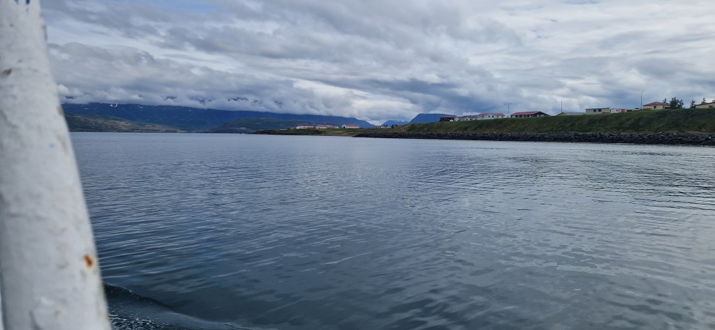 I finished German on Duolingo….