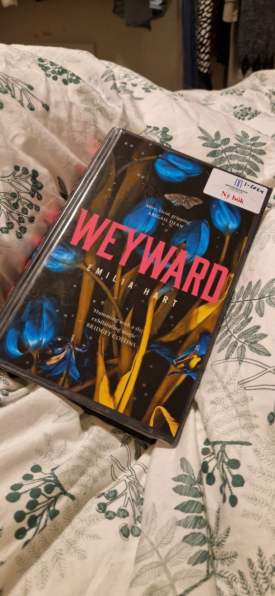 Spoiler Free Book Review Weyward by Emilia Hart Snow Covered